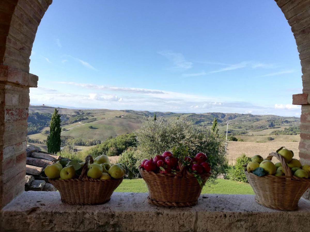 Agriturismo Monsole - Montalcino Exterior photo